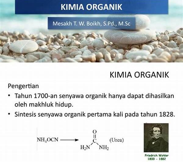 Studi Kimia Organik