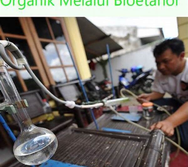 Bahan Bakar Organik