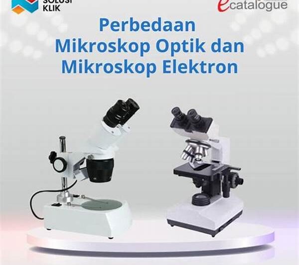 Mikroskop Elektron