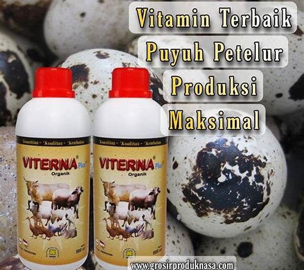 Sintetik Bahan Organik