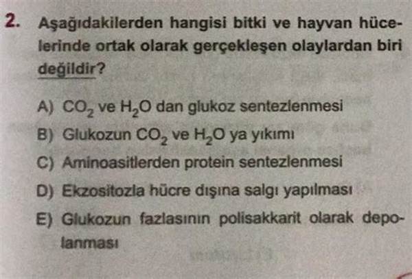 Co₂ Dan H₂o