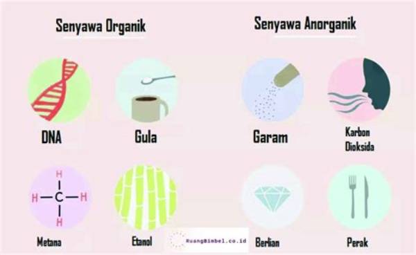 Senyawa Organik